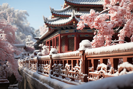 冬日中国古城图片