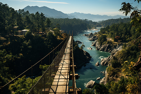热带丛林中的吊桥构图片