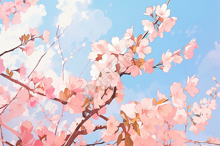 美丽绽放的樱花花朵背景图片