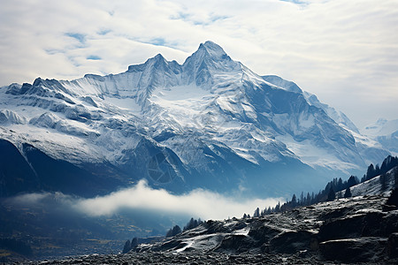 阿尔卑斯雪山壮丽的瑞士阿尔卑斯山脉背景