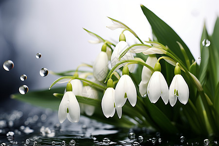 水面上的白花背景图片
