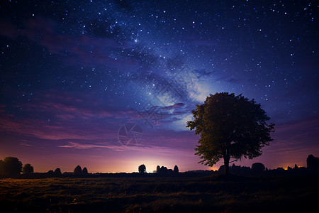 北极地平线夜色沐浴下的林中星空背景