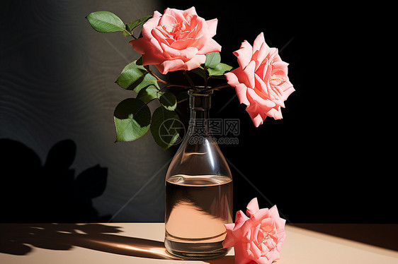 玫瑰花插在玻璃瓶里图片