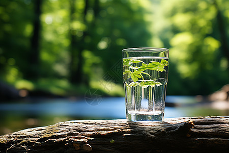 来一杯凉爽户外水杯中的绿植背景