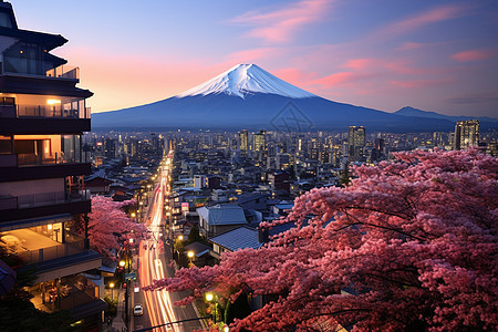 富士山下的城市图片