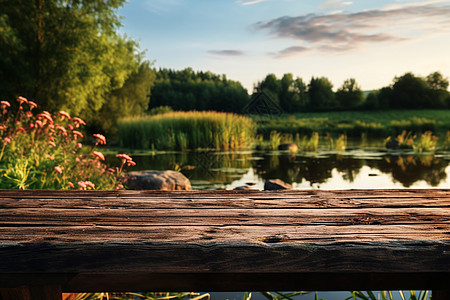 湖畔林间的木制长椅图片