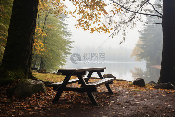 秋日的户外风景图片