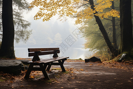 秋日湖畔的木椅图片