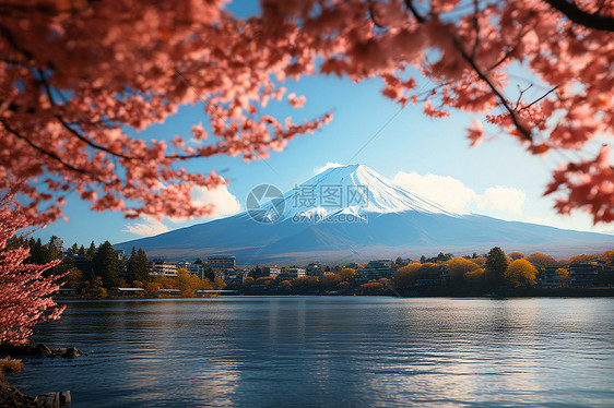 樱花湖畔的雪山图片