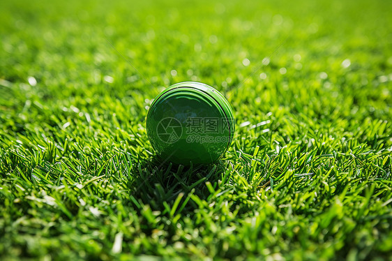 翠绿草地上的一颗绿球图片