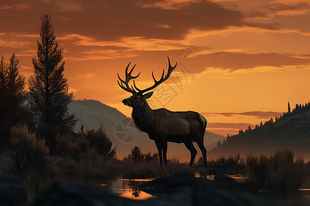 巍峨山谷间的鹿图片
