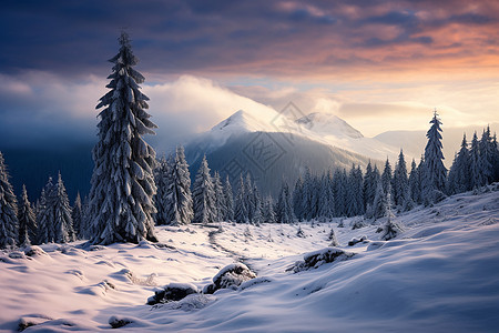 夕阳下的冰雪山林图片