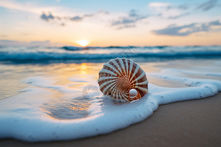海滩黄昏贝壳与太阳图片