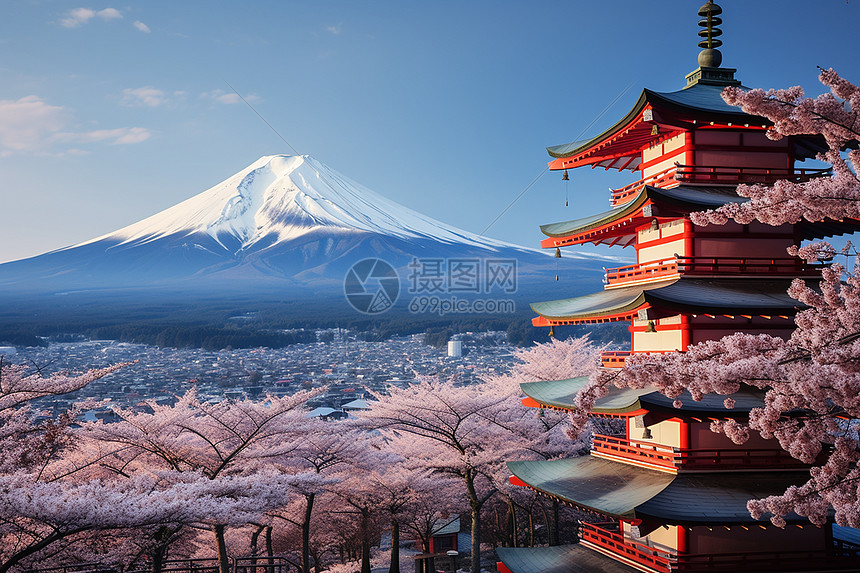 日本富士山背景下的樱花图片