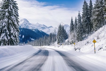 森林冬季冰雪覆盖的自然之美背景