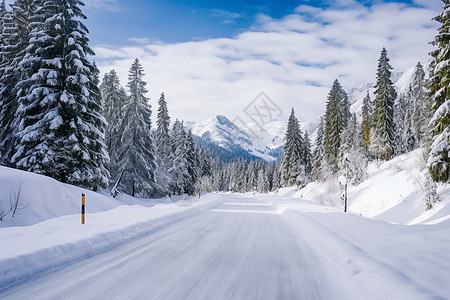 冬日森林雪景图片