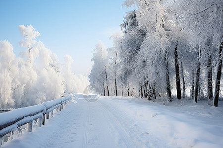 白雪皑皑的道路图片