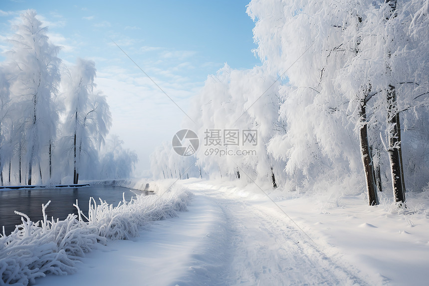 冬日白雪笼罩的林间小路图片