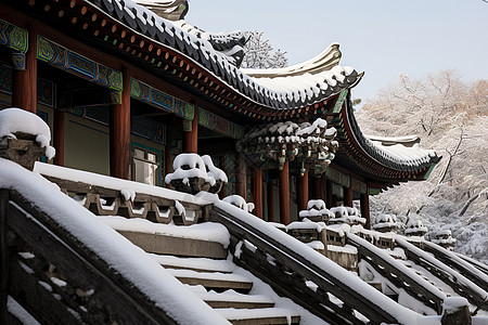 古建筑上的冰雪高清图片