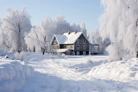 冬日田野中的一座房屋图片