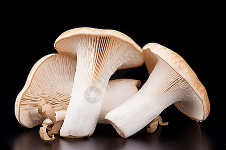 鲜美可口的蘑菇食材图片