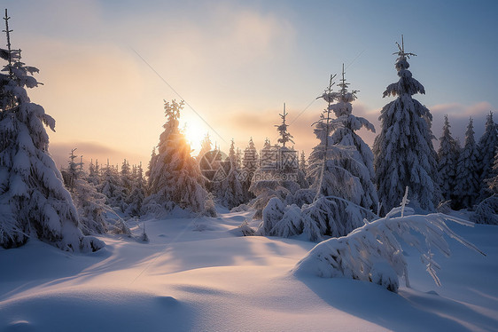 白雪皑皑的雪山森林景观图片