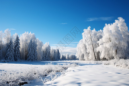 白雪皑皑的冬季图片