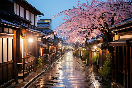 樱花盛开的巷子图片