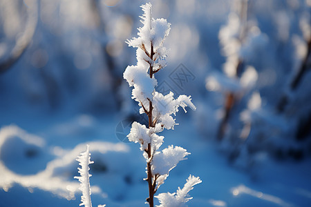 冰雪世界背景图片