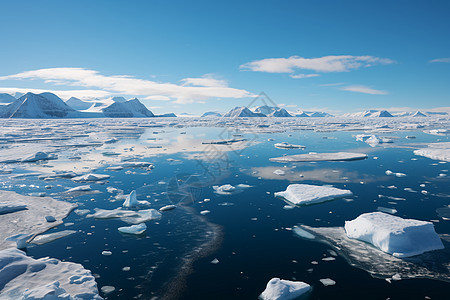 北极浮冰图片