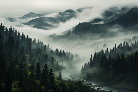 云雾山谷山谷神秘薄雾背景