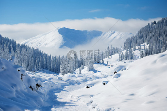 乡村上的雪山图片