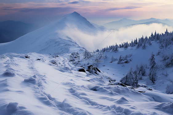 白茫茫的雪覆盖了大地图片