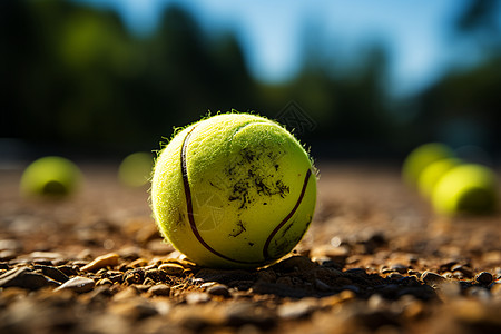 地面上的网球图片