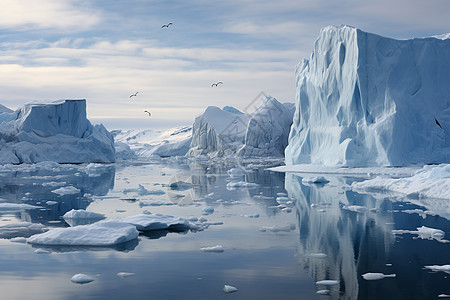 冰川与海洋背景图片