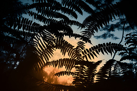 手绘热带绿植树梢悬月的热带雨林景观背景