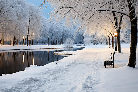 冬季白雪覆盖的森林公园景观图片