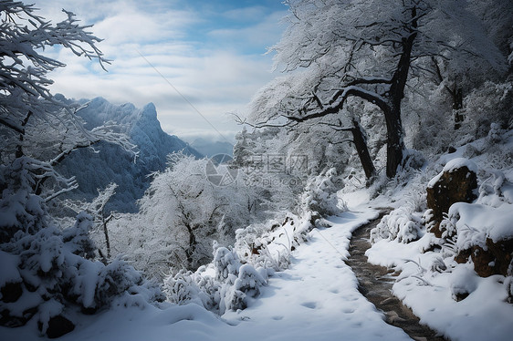 冰雪中的旅行者图片