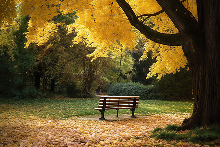 秋日公园背景图片