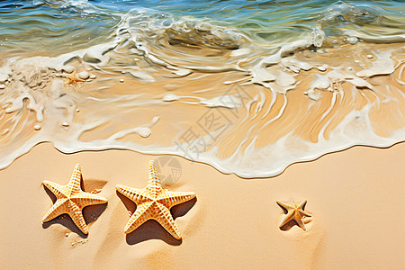 海星在沙滩上图片