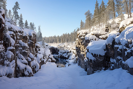 冬日森林背景图片