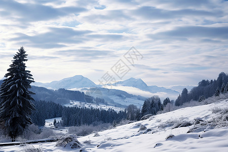 冬日白雪山峰图片