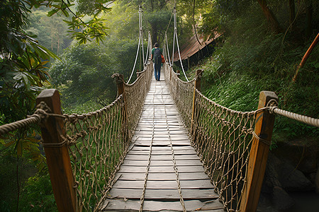 树林里的悬索桥图片