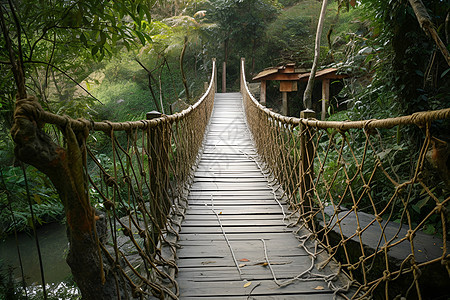 森林中的一座绳桥图片