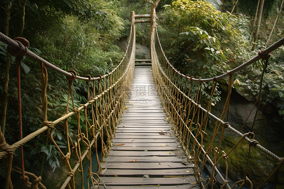 翠绿丛林中的悬索桥图片