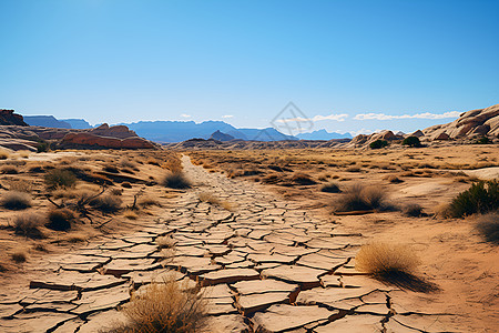沙漠中干枯的地面图片