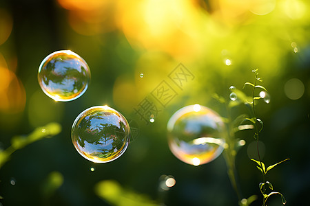 漂浮七彩泡泡户外草地上的泡泡背景
