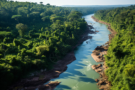 绿色丛林中的河流背景图片