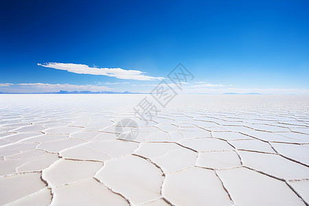 广阔的盐湖图片