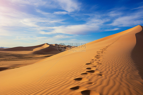 沙漠中一长条脚印图片
